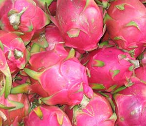 dragon fruit