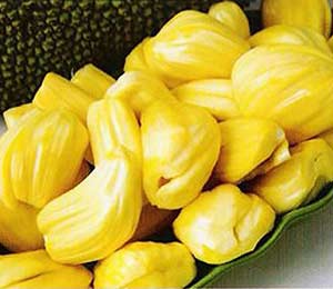 jackfruit