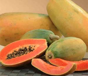 papaya