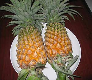 pineapples