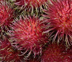 rambutan