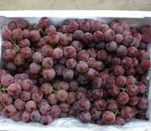 grapes